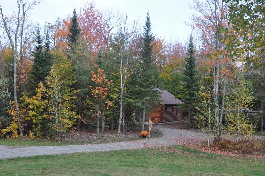 Готель Muddy Moose Morrisville Екстер'єр фото